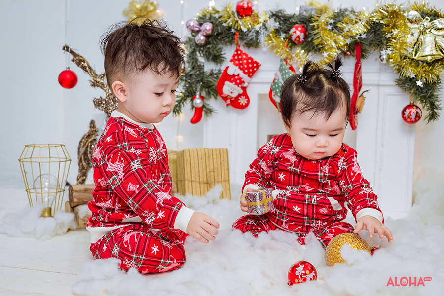 album ảnh giáng sinh đẹp lung linh